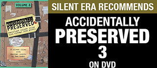 Accidentally Preserved 3 DVD